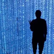 #まめつぶの画像
