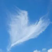 空猫✧⁠*⁠の画像