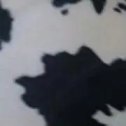 mamaの画像