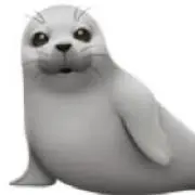 よんちゃんの画像