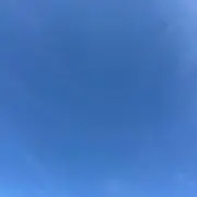 スーちゃんの画像