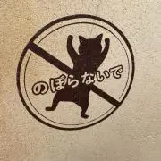 のこいのこの画像