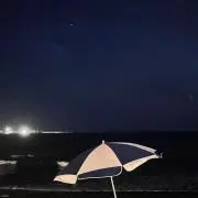 アネモネの画像
