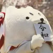 se-kaの画像