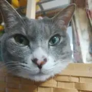 えいじの画像
