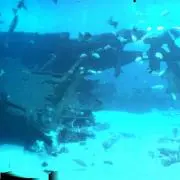 あんぱんまん