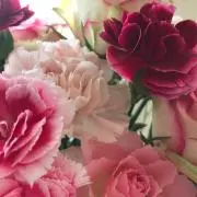 7wa_oの画像