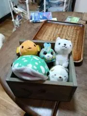 hyの画像