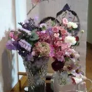 しゅりみやの画像