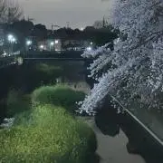 Yuuki(プロフィール必読)の画像