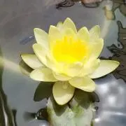 Hideの画像