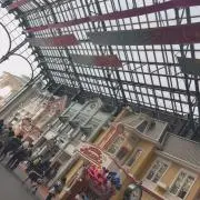 まめの画像
