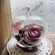 みっしーの画像