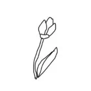 かすてらの画像