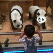 lilo8の画像