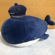 くぅちゃんの画像