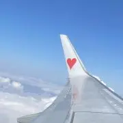 よっぴいの画像