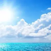 やまもとひつじ