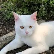 さんちゃんの画像