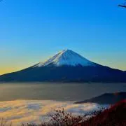 たまごの画像