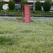 メルKの画像