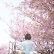 シーズ★