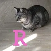 Reyka♡即購入OK❣️プロフ必読の画像