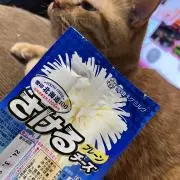 さんちゃんの画像