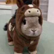 ロイヤルの画像