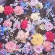 Ran ※プロフ必読の画像