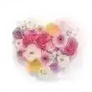 choco♡プロフ読んでくださいねの画像
