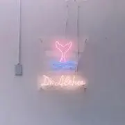 きなこの画像