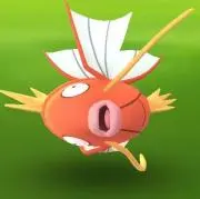 ゾル⚠️7/14まで発送不可⚠️の画像