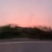 えだまめ