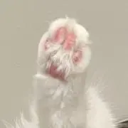 Jamの画像