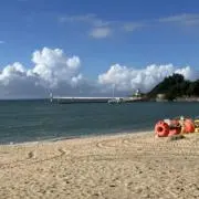TKの画像