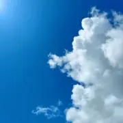 ViViの画像
