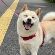 あけみむ