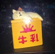 RikuHoiの画像