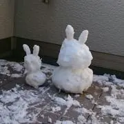 りかやん