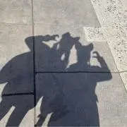あわの画像
