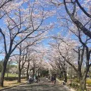 つちのこの画像