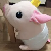 ルンルン