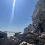 くま