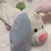 みるくてぃー