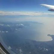 しーの画像
