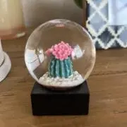 Nの画像