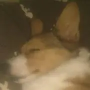 池誠二
