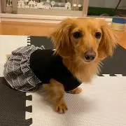みどりの画像