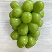 しおんの画像